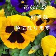 ヒメ日記 2026/03/17 15:48 投稿 菫(すみれ) PLUS十三店