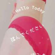 ヒメ日記 2026/04/07 08:58 投稿 菫(すみれ) PLUS十三店