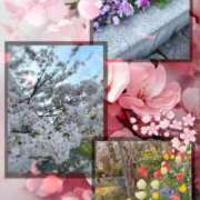 ヒメ日記 2026/04/08 08:58 投稿 菫(すみれ) PLUS十三店