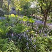 ヒメ日記 2026/04/25 08:58 投稿 菫(すみれ) PLUS十三店