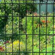 ヒメ日記 2026/05/12 09:03 投稿 菫(すみれ) PLUS十三店