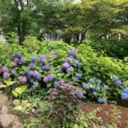 ヒメ日記 2026/06/25 09:03 投稿 菫(すみれ) PLUS十三店