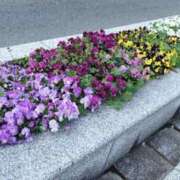 ヒメ日記 2026/07/16 21:18 投稿 菫(すみれ) PLUS十三店