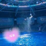 ヒメ日記 2026/02/19 20:00 投稿 瑠華【ルカ】 輝女