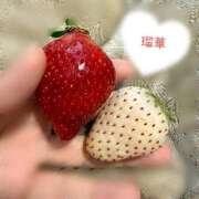 ヒメ日記 2026/03/05 12:30 投稿 瑠華【ルカ】 輝女