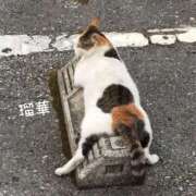 ヒメ日記 2026/03/13 16:17 投稿 瑠華【ルカ】 輝女