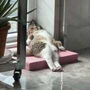 ヒメ日記 2026/03/22 07:55 投稿 瑠華【ルカ】 輝女