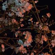 ヒメ日記 2026/03/25 23:15 投稿 瑠華【ルカ】 輝女