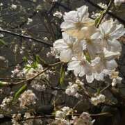 ヒメ日記 2026/03/28 18:38 投稿 瑠華【ルカ】 輝女