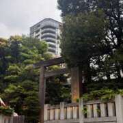ヒメ日記 2026/04/29 17:16 投稿 瑠華【ルカ】 輝女