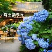ヒメ日記 2026/05/25 18:02 投稿 瑠華【ルカ】 輝女