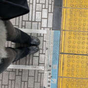 ヒメ日記 2025/12/21 06:07 投稿 みずほ ハピネス東京