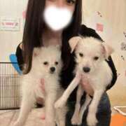 あゆ 4月の出勤日🌸 俺のKissリフレ