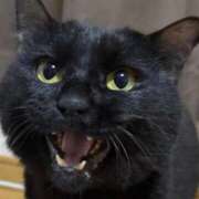 ヒメ日記 2025/11/27 12:22 投稿 すみれ チューリップ土浦店