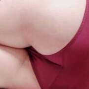 ヒメ日記 2025/12/04 08:18 投稿 すみれ チューリップ土浦店