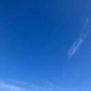 ヒメ日記 2025/12/08 15:18 投稿 すみれ チューリップ土浦店