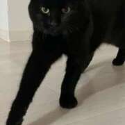 ヒメ日記 2025/12/10 11:18 投稿 すみれ チューリップ土浦店