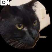 ヒメ日記 2025/12/15 01:08 投稿 すみれ チューリップ土浦店