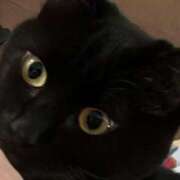 ヒメ日記 2025/12/16 11:28 投稿 すみれ チューリップ土浦店