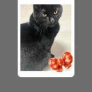 ヒメ日記 2025/12/19 11:08 投稿 すみれ チューリップ土浦店