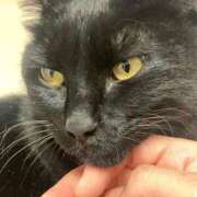 ヒメ日記 2025/12/20 17:58 投稿 すみれ チューリップ土浦店