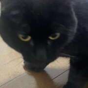 ヒメ日記 2025/12/21 20:58 投稿 すみれ チューリップ土浦店