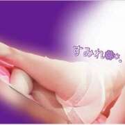 ヒメ日記 2026/01/17 11:48 投稿 すみれ チューリップ土浦店