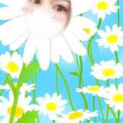 ヒメ日記 2026/01/19 12:40 投稿 すみれ チューリップ土浦店