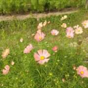 ヒメ日記 2025/11/26 08:08 投稿 はな Mother Complex～マザーコンプレックス～