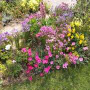 ヒメ日記 2025/11/30 08:28 投稿 はな Mother Complex～マザーコンプレックス～