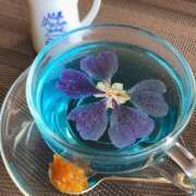 ヒメ日記 2025/11/24 15:24 投稿 ゆき 熟女パラダイス岐阜店（カサブランカグループ）