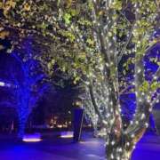 ヒメ日記 2025/11/22 15:24 投稿 佐野えみり HYPER TOKYO