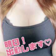 ヒメ日記 2025/11/17 20:42 投稿 菅原 えま こあくまな熟女たち 鶯谷・日暮里店(KOAKUMAグループ)