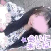 ヒメ日記 2025/12/07 18:50 投稿 うた 僕らのぽっちゃリーノin大宮