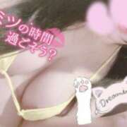 ヒメ日記 2025/12/08 12:00 投稿 うた 僕らのぽっちゃリーノin大宮