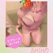 志帆(しほ) 出勤〜🐇⸒⸒ 高崎回春性感SPA