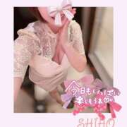 志帆(しほ) 出勤だ～🦖🐾 高崎回春性感SPA