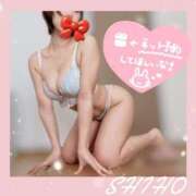 ヒメ日記 2026/02/19 17:45 投稿 志帆(しほ) 高崎回春性感SPA