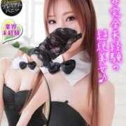 ヒメ日記 2025/11/18 18:30 投稿 リョウ【輝く曲線に視線独占】 バニーコレクション 中洲店