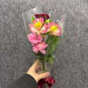 ヒメ日記 2025/11/20 21:09 投稿 たまき 錦糸町人妻ヒットパレード（シンデレラグループ）