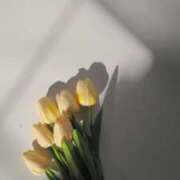 ヒメ日記 2026/01/08 16:58 投稿 さおり 東京人妻セレブリティ（ユメオト）