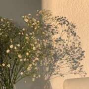 ヒメ日記 2026/01/14 14:36 投稿 さおり 東京人妻セレブリティ（ユメオト）