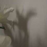 さおり 1/15のお礼 東京人妻セレブリティ（ユメオト）