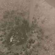 ヒメ日記 2026/03/06 12:00 投稿 さおり 東京人妻セレブリティ（ユメオト）