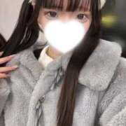 ヒメ日記 2025/12/14 16:01 投稿 みいな 秋葉原コスプレ学園(AKG)