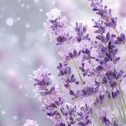 ヒメ日記 2025/12/17 12:16 投稿 静花【シズカ】 輝女