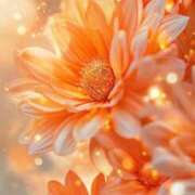 ヒメ日記 2025/12/22 17:01 投稿 静花【シズカ】 輝女