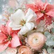 ヒメ日記 2025/12/24 11:30 投稿 静花【シズカ】 輝女