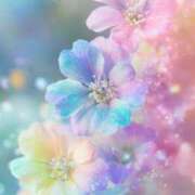 ヒメ日記 2025/12/25 10:30 投稿 静花【シズカ】 輝女