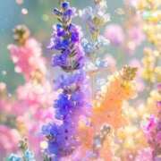 ヒメ日記 2025/12/25 11:01 投稿 静花【シズカ】 輝女